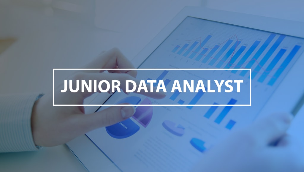 Junior Data Analyst